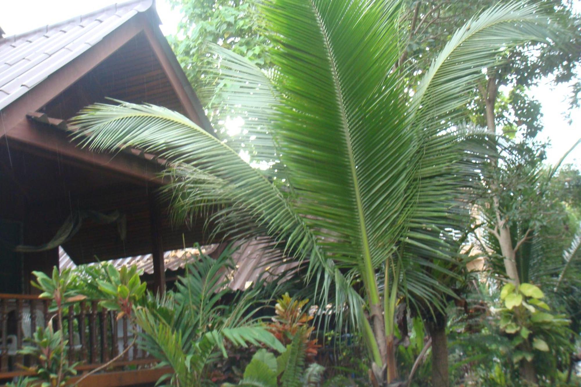 Silver Sands Resort - Koh Tao Eksteriør billede