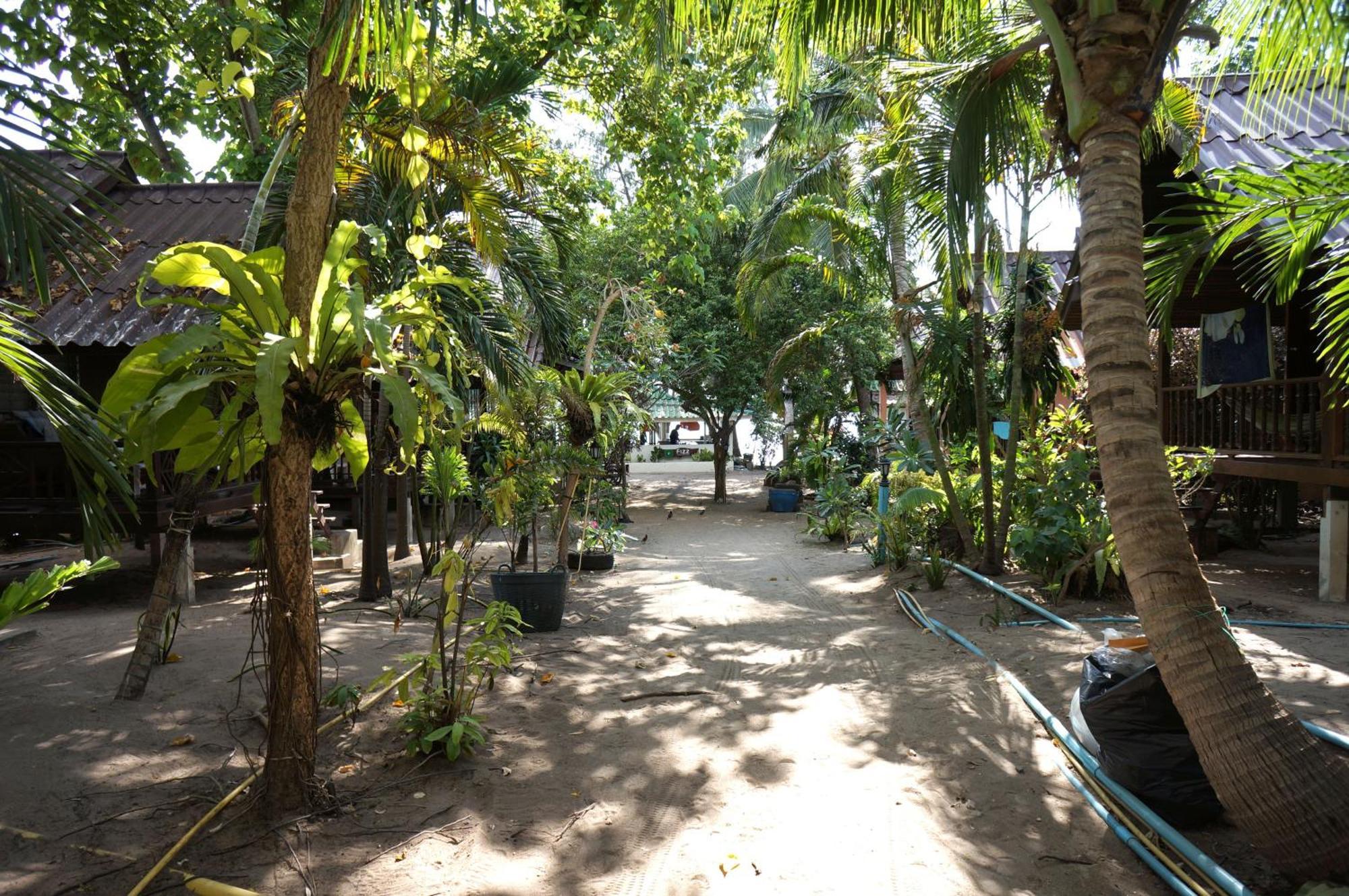 Silver Sands Resort - Koh Tao Eksteriør billede