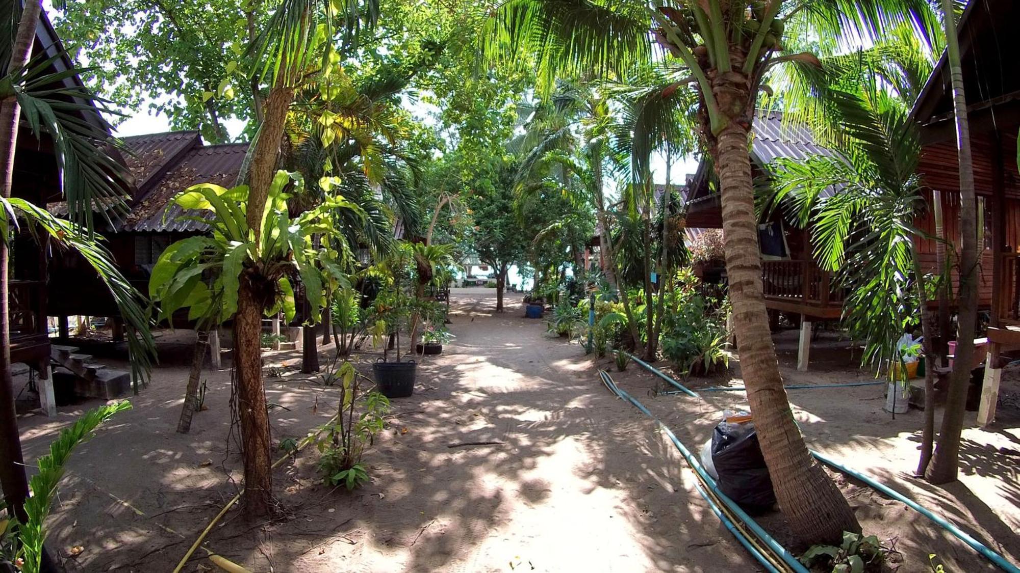 Silver Sands Resort - Koh Tao Eksteriør billede